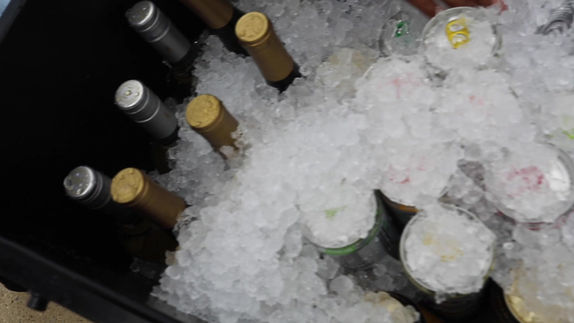 TOP SHELF TIPSY REEL